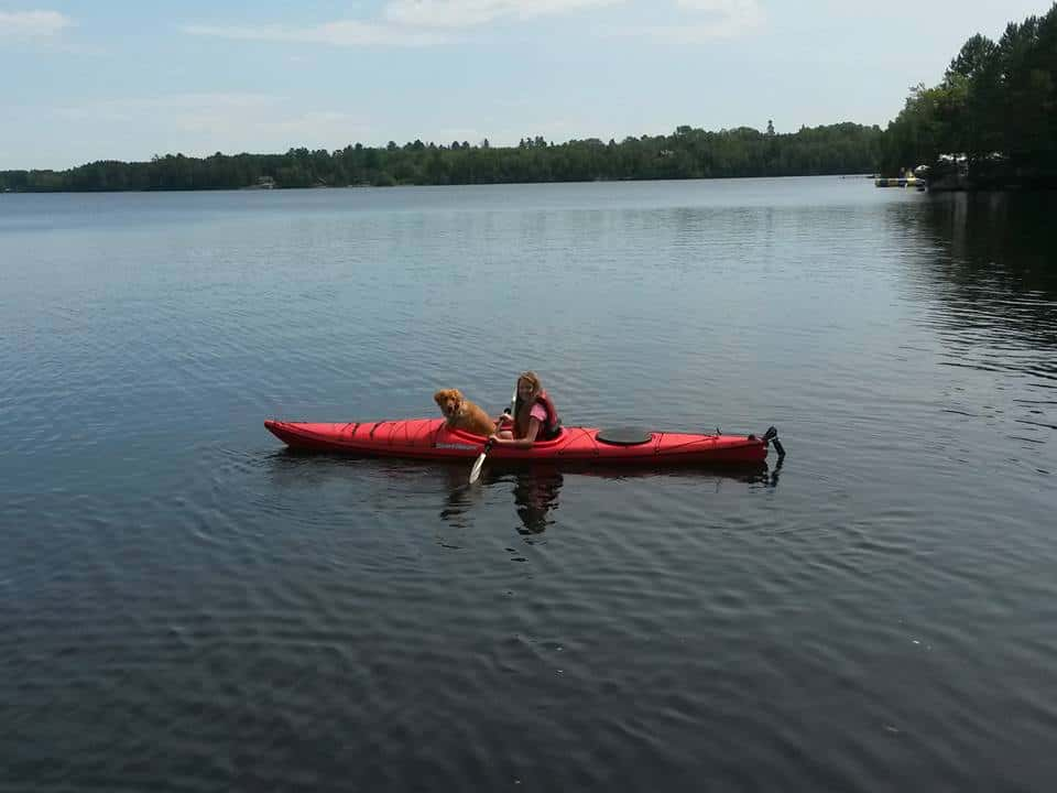 Dog Friendly Ely Lake Cabins